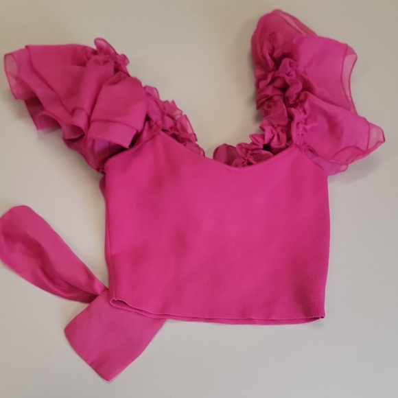 Pink Ruffle Sleeve Crop Top - Picture 4 of 8
